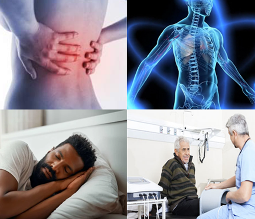 Pemf Devices For Sale and Pemf Devices for horses